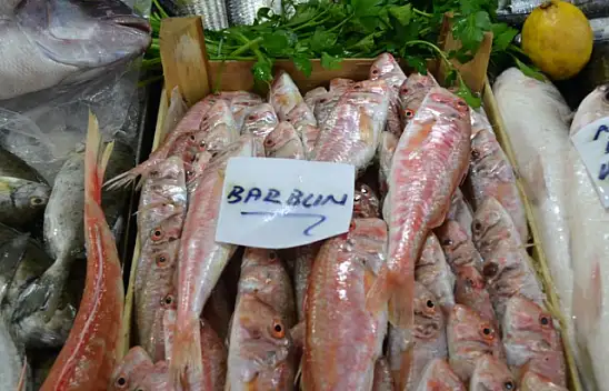 BALIK FİYATLARI CEP YAKIYOR