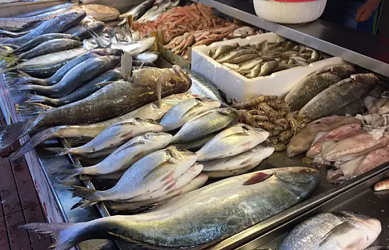 Balıkçılar zor durumda