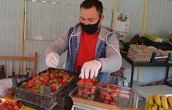 Çilek geçen yılın fiyatları ile satılıyor 