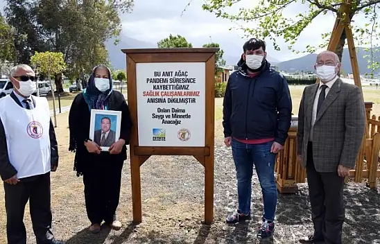 'Çınar Ağacı' hayatını kaybeden sağlık çalışanlarının anısını yaşatacak