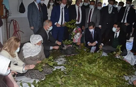 Fethiye'de Endemik Bitkiler Müzesi kurulacak