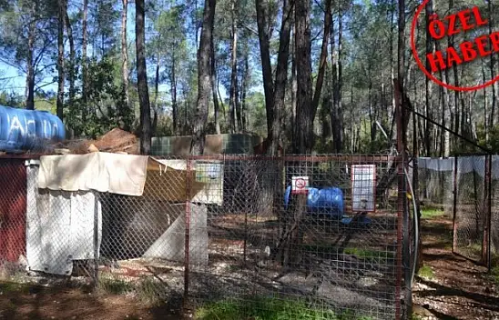 Gönüllülerden örnek davranış