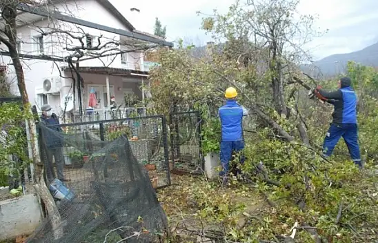 Hortum İnlice'de zarara yol açtı 