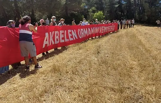 İkizköy Akbelen Ormanı Hem Muğla'nın hem de Türkiye'nin sorunudur!