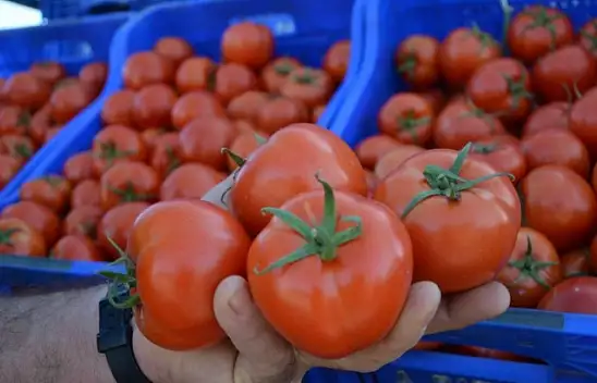 Rusya, sebze ithalatını arttırıyor