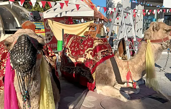 Seydikemer'de Gastroantep'e yoğun ilgi