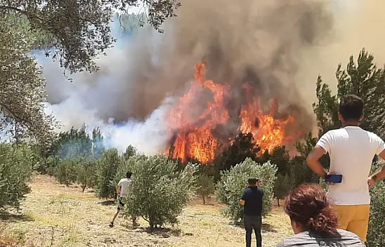 Seydikemer yangını devam ediyor