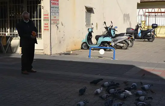 Tütüncünün hayvan sevgisi