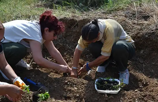 YAŞLILAR FİDAN DİKTİ