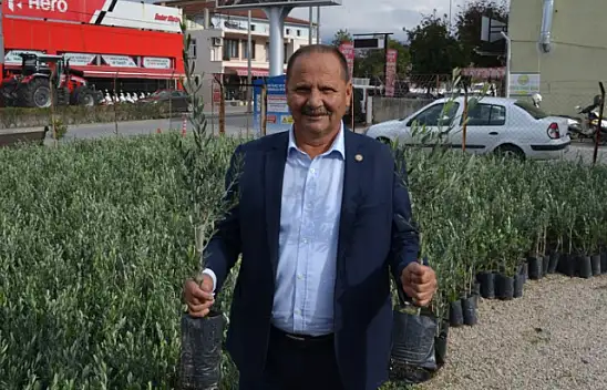Ziraat Odası'ndan Zeytin Satışı