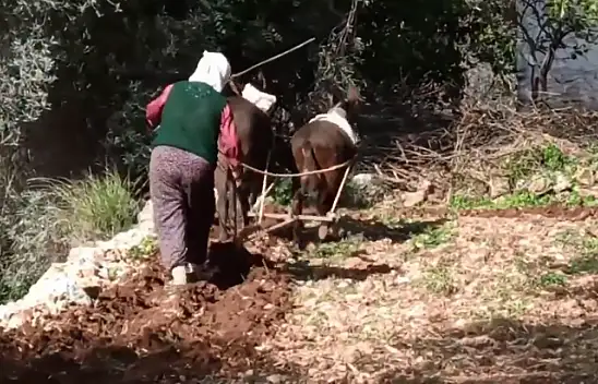 90 yaşında hala üretiyor