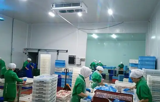 Amerika'nın Kırmızı Alabalıkları Fethiye'den
