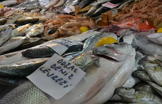Balık fiyatları cep yakıyor