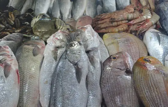 Balık fiyatlarının artışı mazota bağlı