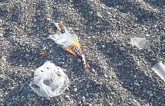 Bu kadarına da pes!