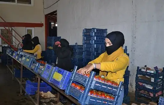 Domateste kota artışı fiyatlara yansıdı mı?