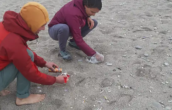 Duyarlı Rus vatandaları sahili temizledi