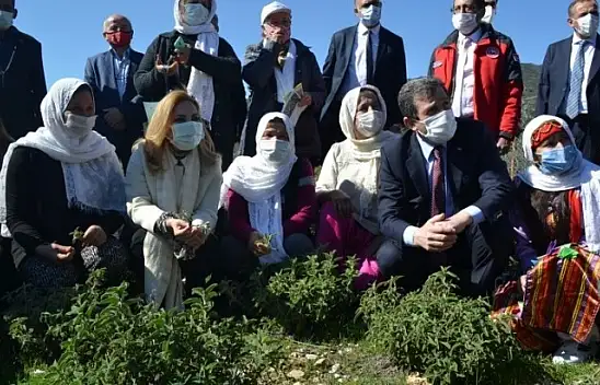 Fethiye'de Aromatik Bitkiler Bayramı