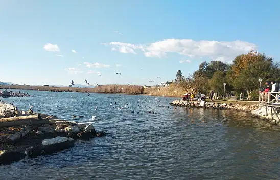 Güzel hava ördeklere yaradı