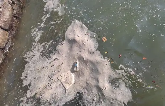 Körfezde istenmeyen görüntüler!