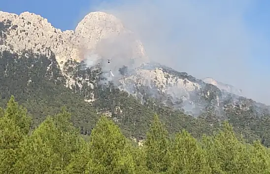 Seydikemer 'Çökek, Dere ve Bayır' Yangını Kontrol altına alındı