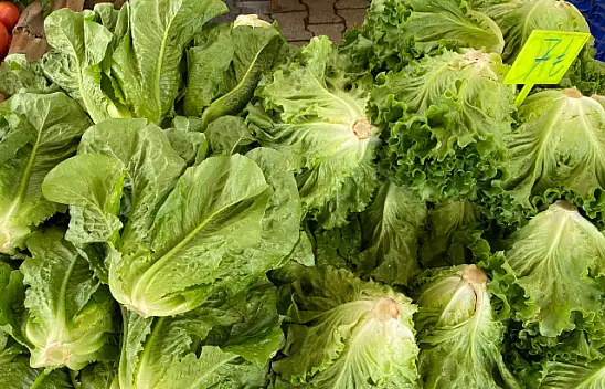 Tarım ürünlerinde enflasyon yüzde 154,97