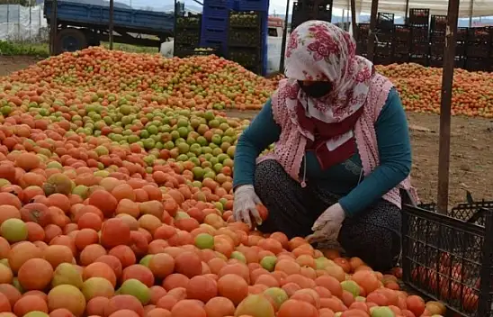 Üretici 'Girdilerdeki ÖTV kaldırılsın'