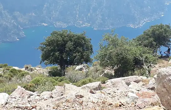 Veraset ilamı için başvurmuş