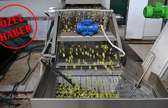 Zeytinyağının fiyatı artıyor