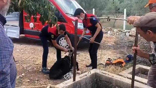 Alev Savaşçılarının Can Kurtarma Operasyonu