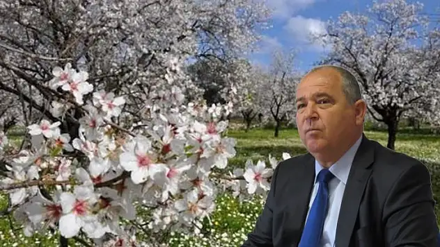 Badem Çiçeği Festivali 7-9 Şubat'ta