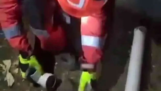 BORUYA SIKIŞAN KEDİ YAVRUSUNU İTFAİYE EKİPLERİ KURTARDI