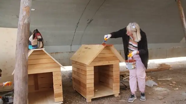 Bu projeyle yüzlerce can yuvaya kavuşacak