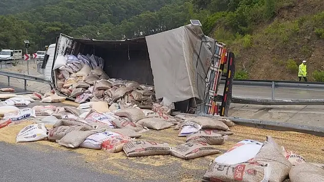 Buğday Yüklü Tır Şarampole Devrildi