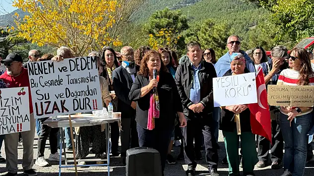 CHP'li Gökmen: 'Fethiye doğası madene değil, korunmaya muhtaç'