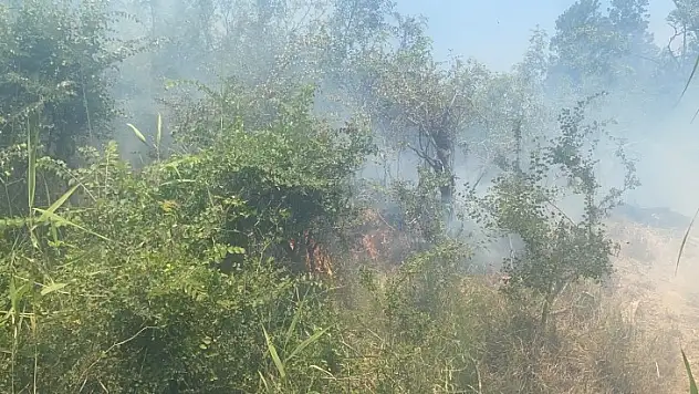Dalaman'da cezaevi çevresi ve TİGEM arazilerinde yangın