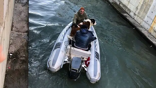 Dereye Düşen Köpeğin İmdadına İtfaiye Yetişti