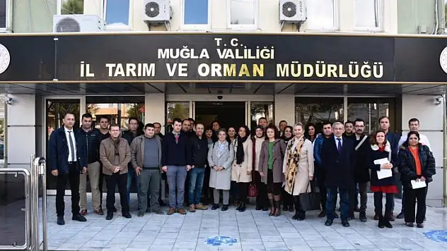 Eğiticilere 'Zeytinde Budama' Eğitimi Verildi