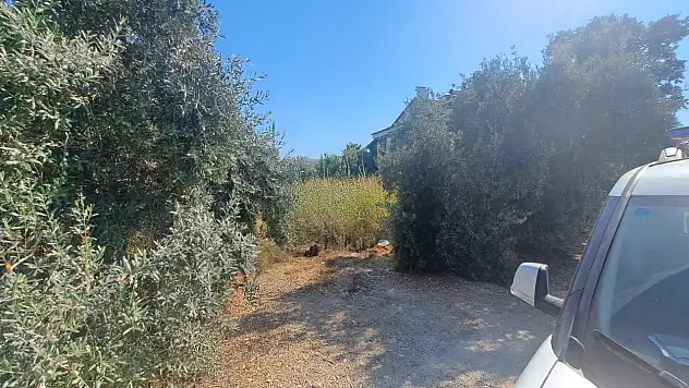 Fethiye'de Arsa Sahiplerini Şok Eden Uyarı: Temizlemeyene Ceza Var!