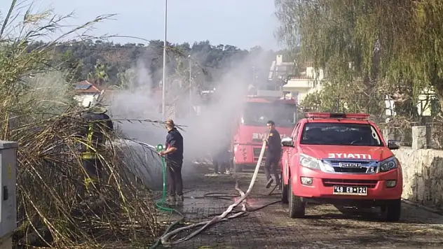 Fethiye'de kış ortasında arazi yangını