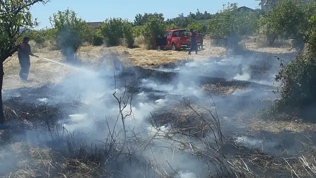 Fethiye'de otluk alanda çıkan yangında limon ağaçları zarar gördü