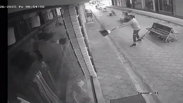 Fethiye'de Temizlik Görevlisinden vefalı davranış, çatıdaki kediyi kurtardı