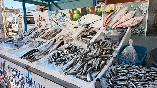 Fethiye'de Yiğit Balıkçılık sahibi Osman Çalışan: 'Fiyat artışı yapmadık, yapmayacağız'