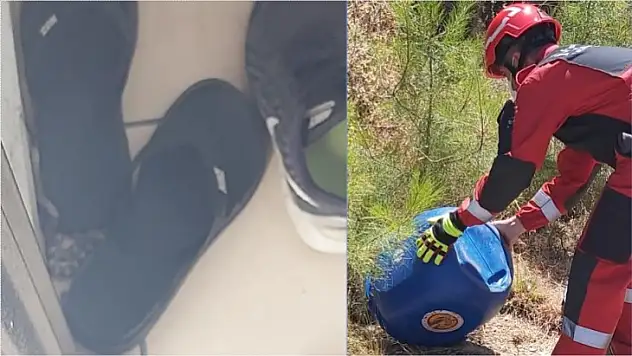 Havuzda fark edilen yılan için operasyon