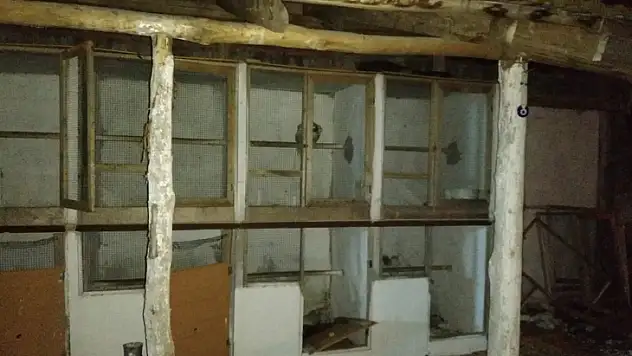 Horoz dövüştüren 6 kişiye 27 bin 380 lira para cezası