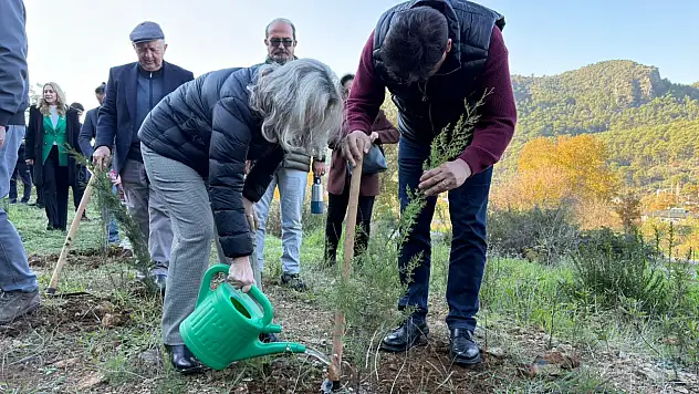 İnlice'de ağaçlandırma kampanyası