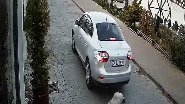 İnsanlığın Bittiği An !