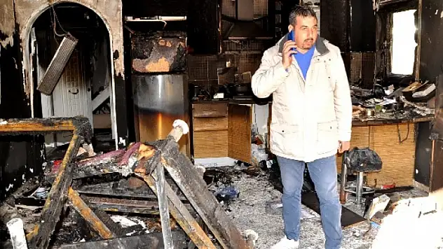 Kahraman Köpek Pascal