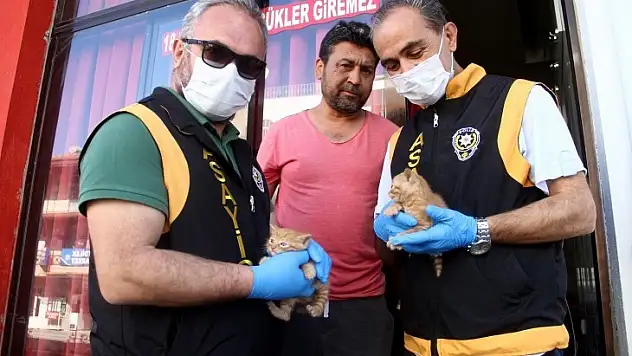 Kıraathanede Mahsur Kalan Kedi Ve 2 Yavrusu Kurtarıldı