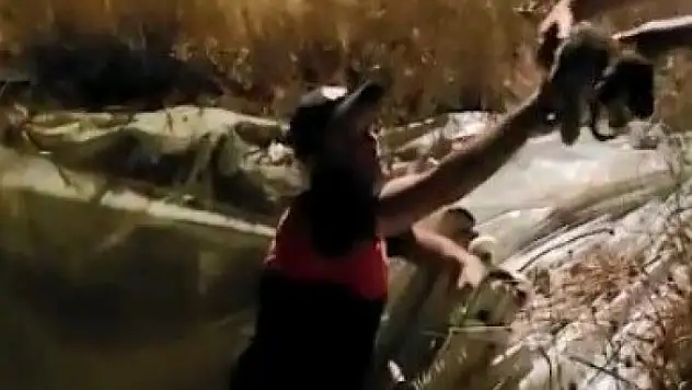 Köpek Yavrularını İtfaiye Ekipleri Kurtardı